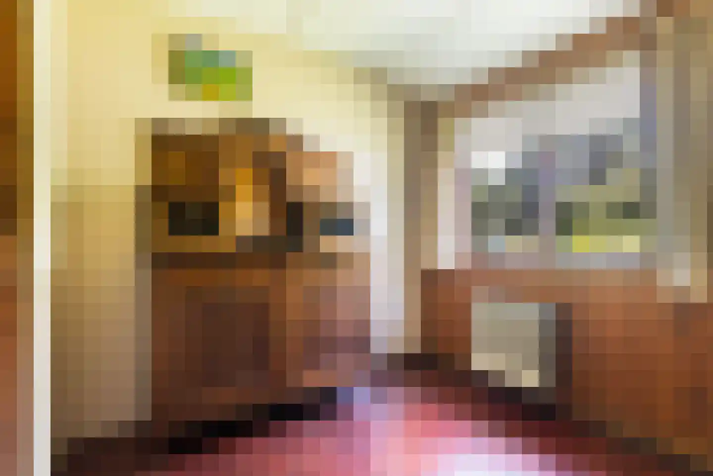 West 20 Buitenpost thumbnail 25