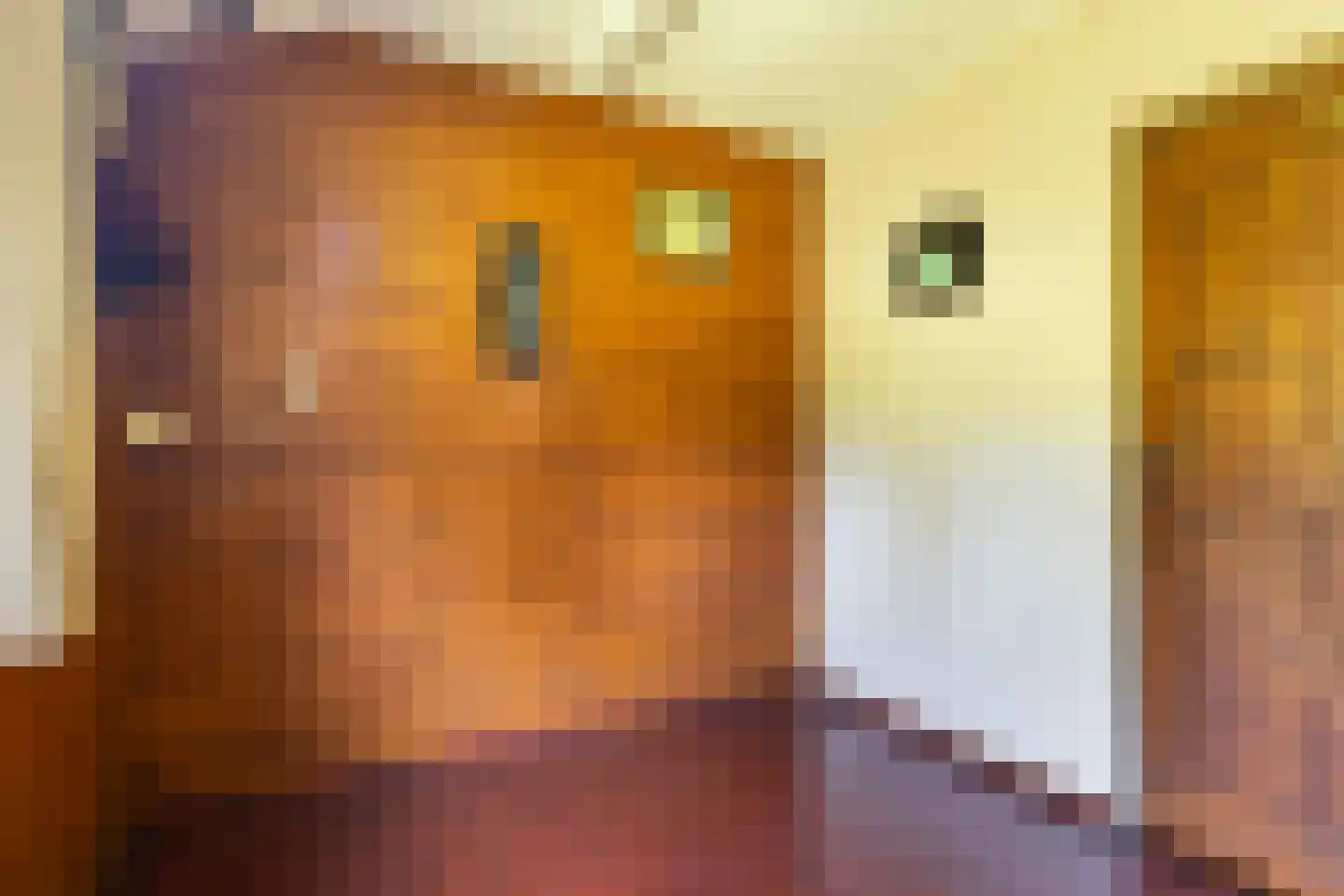 West 20 Buitenpost thumbnail 26