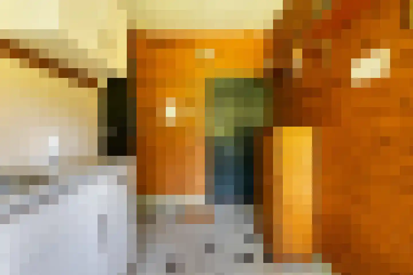 West 20 Buitenpost thumbnail 30