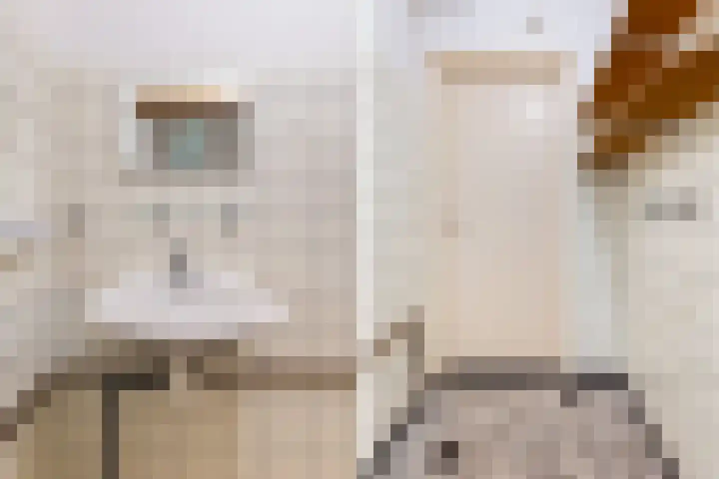 West 20 Buitenpost thumbnail 35