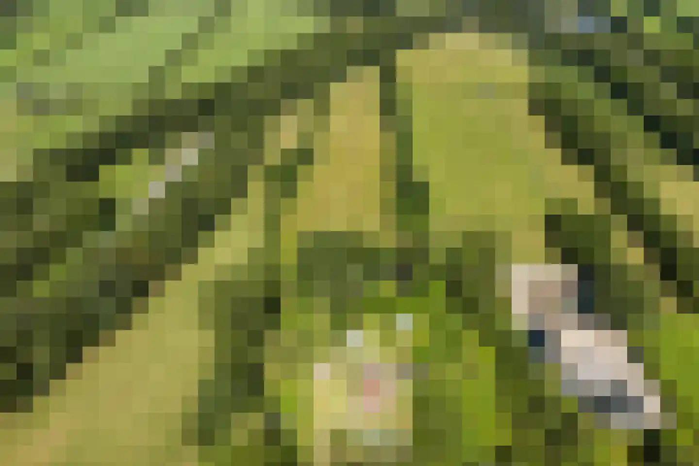 West 20 Buitenpost thumbnail 4