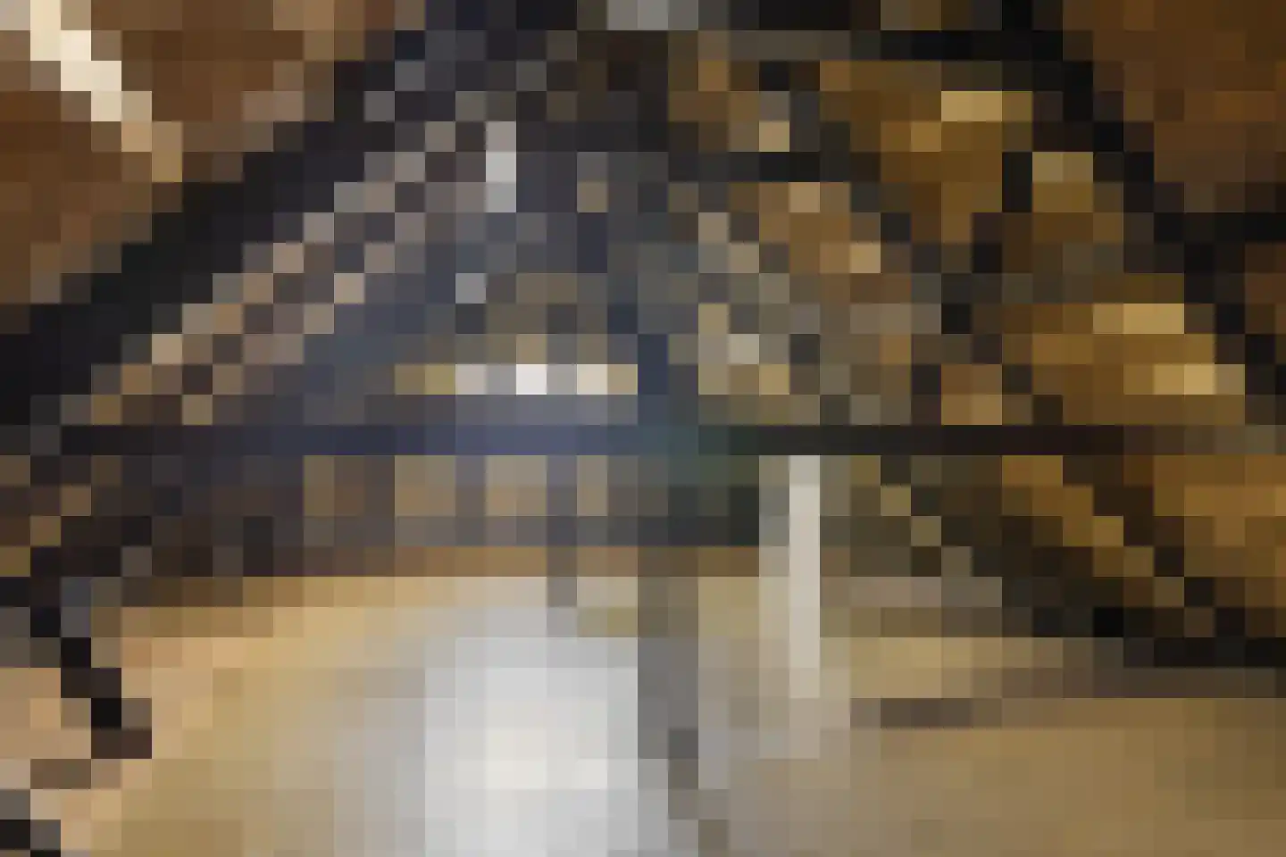West 20 Buitenpost thumbnail 44