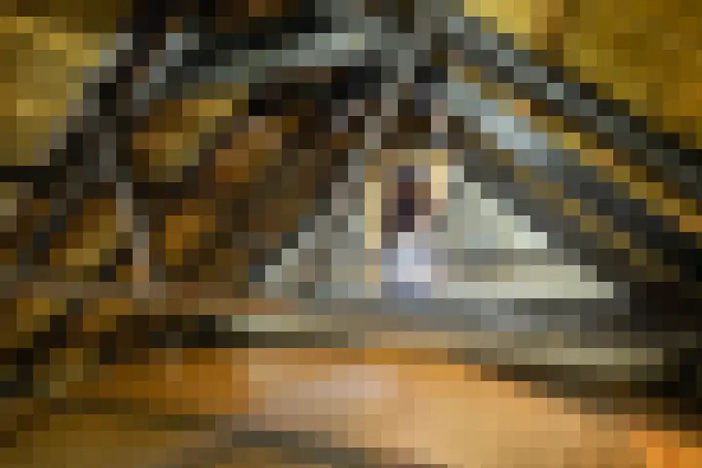 West 20 Buitenpost thumbnail 45