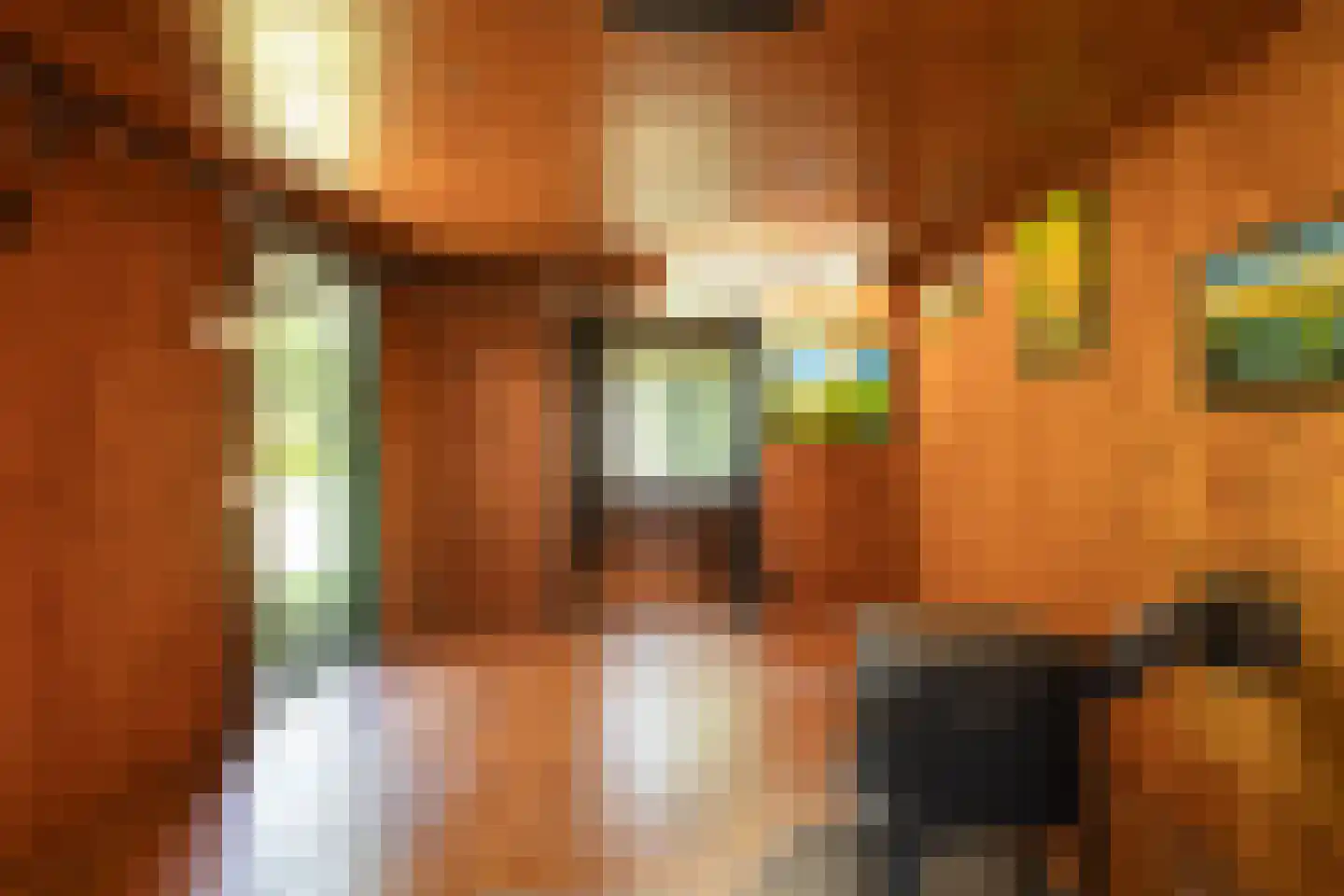 West 20 Buitenpost thumbnail 52
