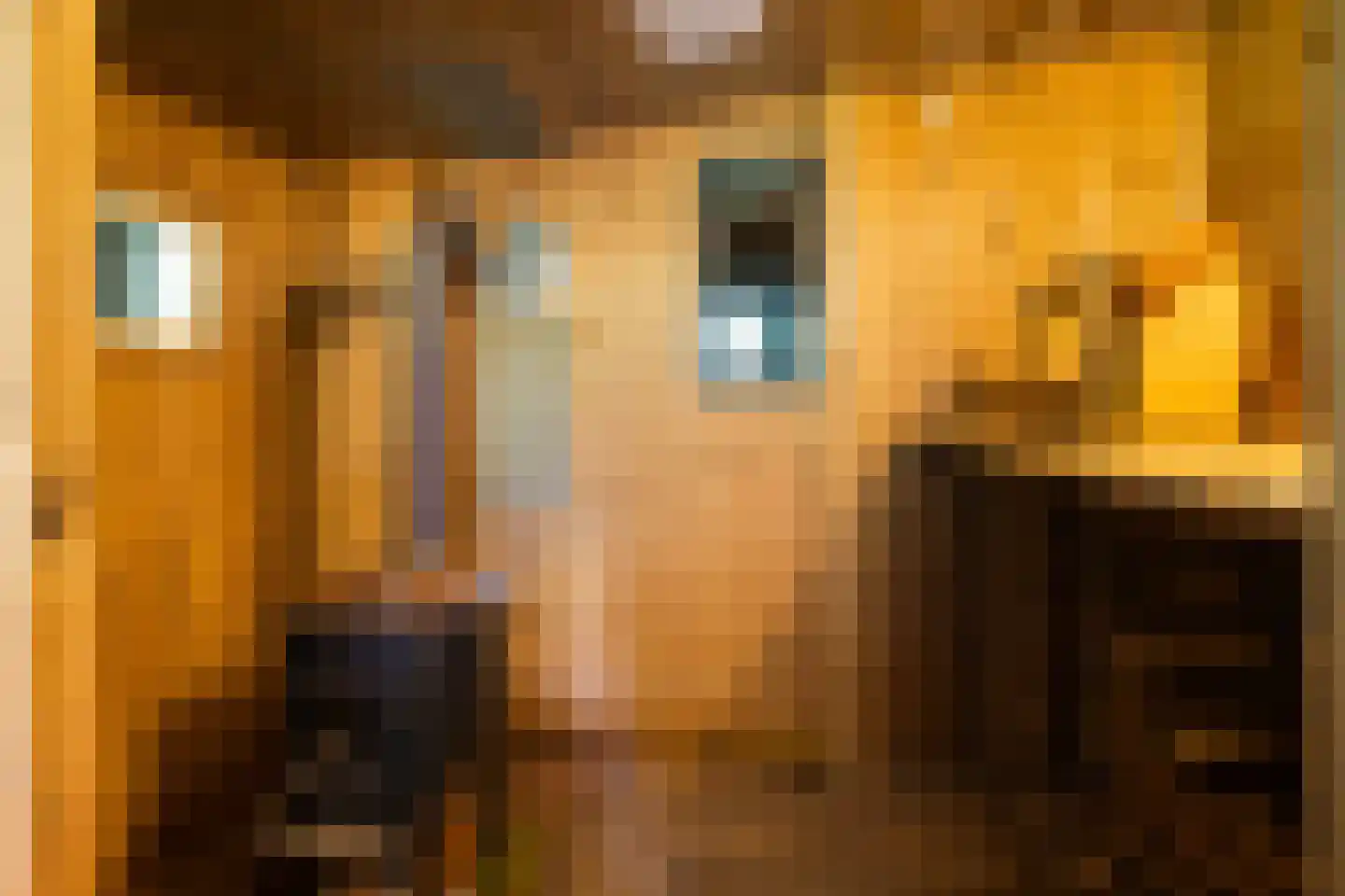 West 20 Buitenpost thumbnail 54