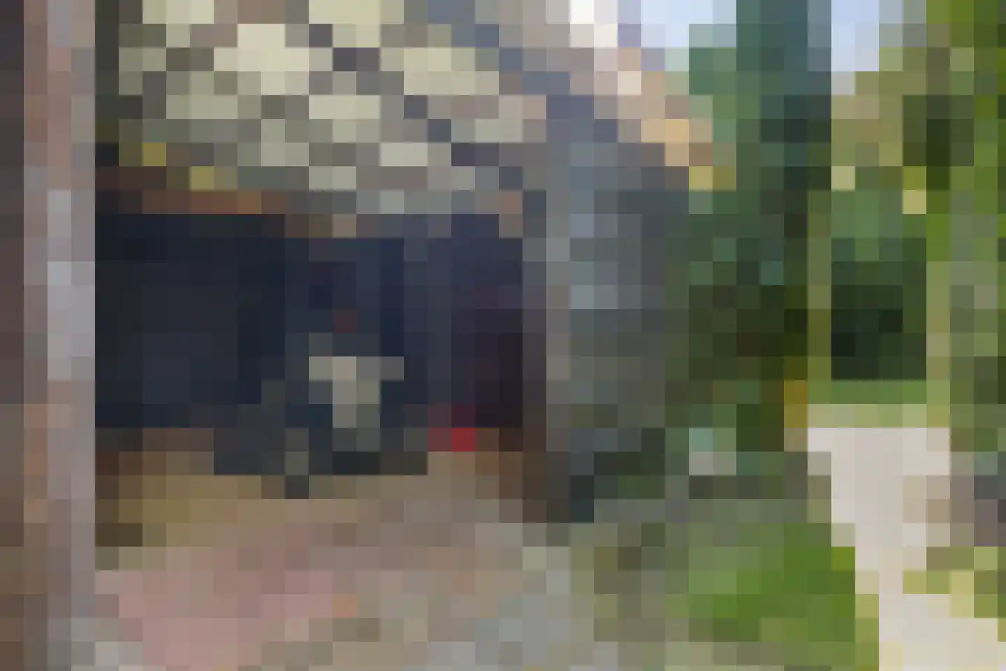 West 20 Buitenpost thumbnail 55