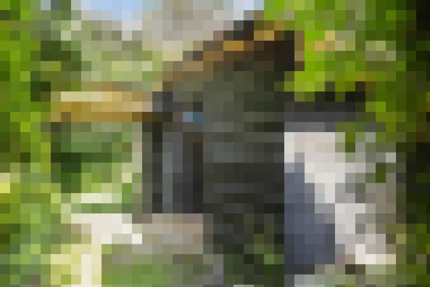 West 20 Buitenpost thumbnail 56