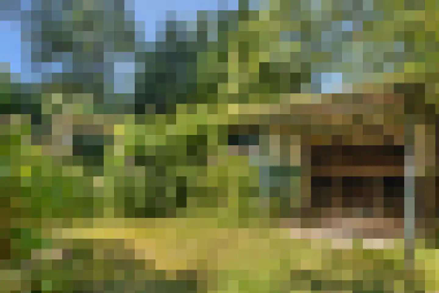 West 20 Buitenpost thumbnail 57