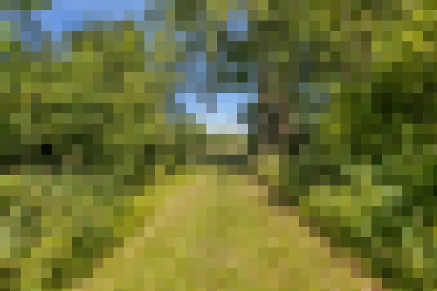 West 20 Buitenpost thumbnail 58