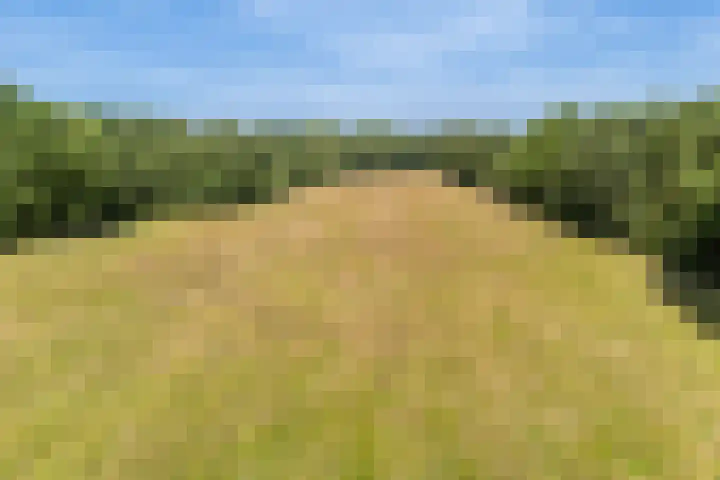 West 20 Buitenpost thumbnail 59