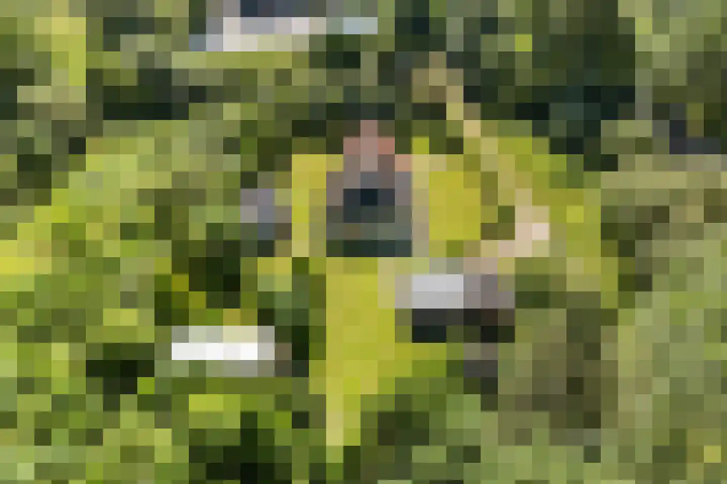 West 20 Buitenpost thumbnail 6