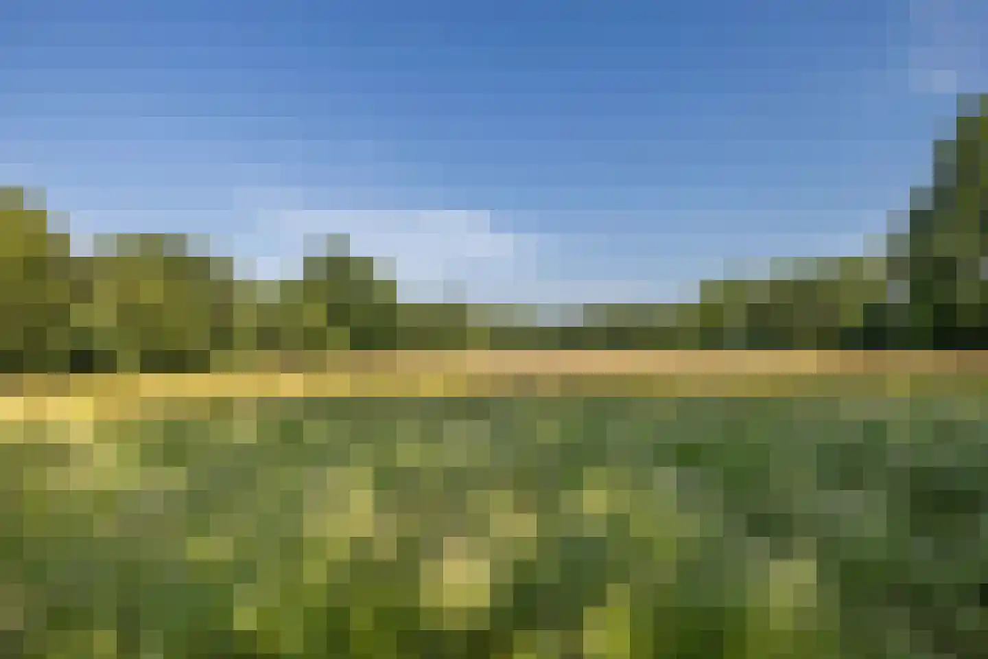 West 20 Buitenpost thumbnail 60