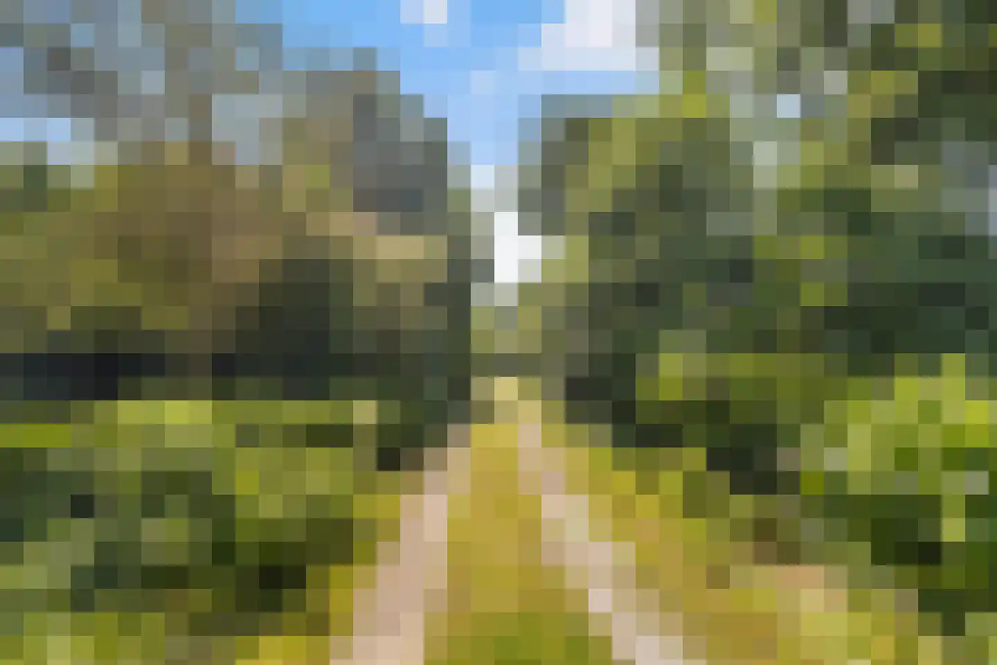 West 20 Buitenpost thumbnail 62