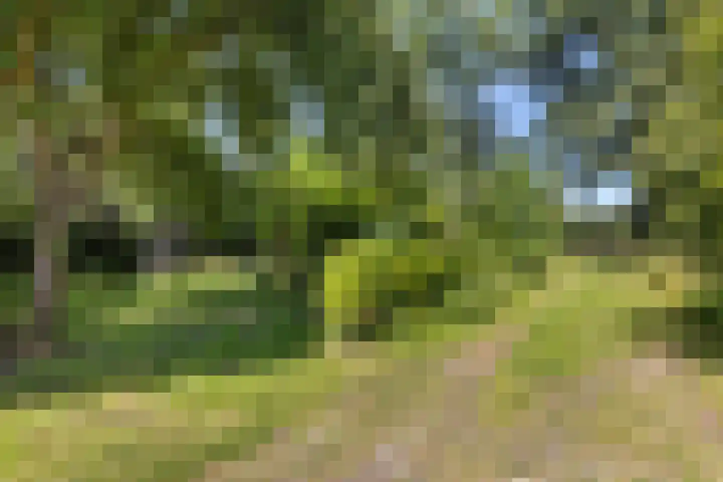 West 20 Buitenpost thumbnail 63