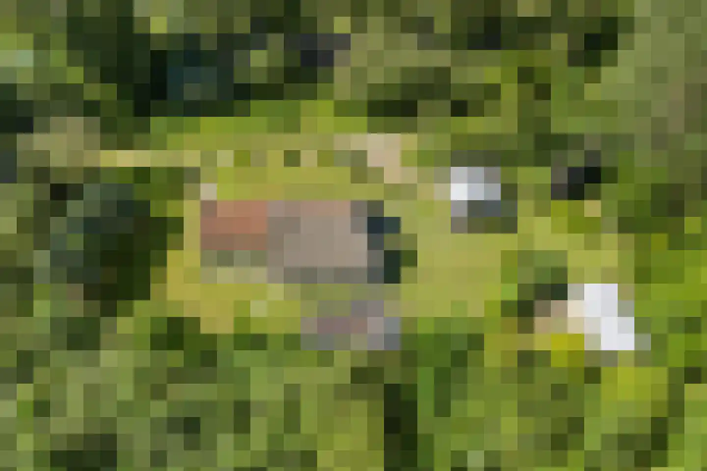 West 20 Buitenpost thumbnail 7