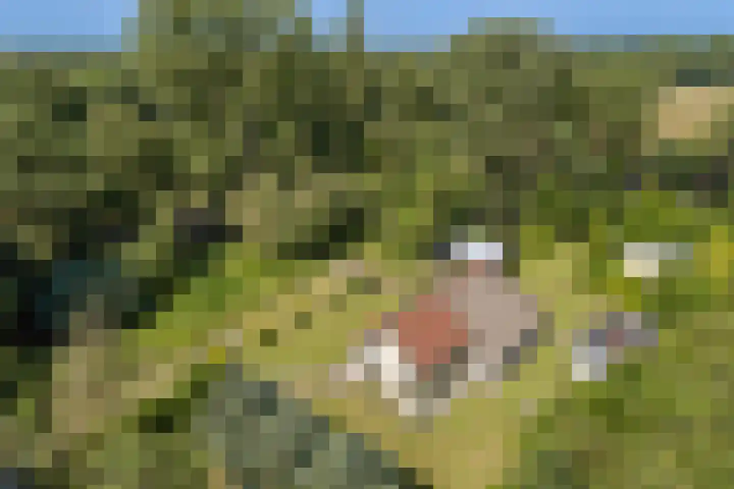 West 20 Buitenpost thumbnail 8