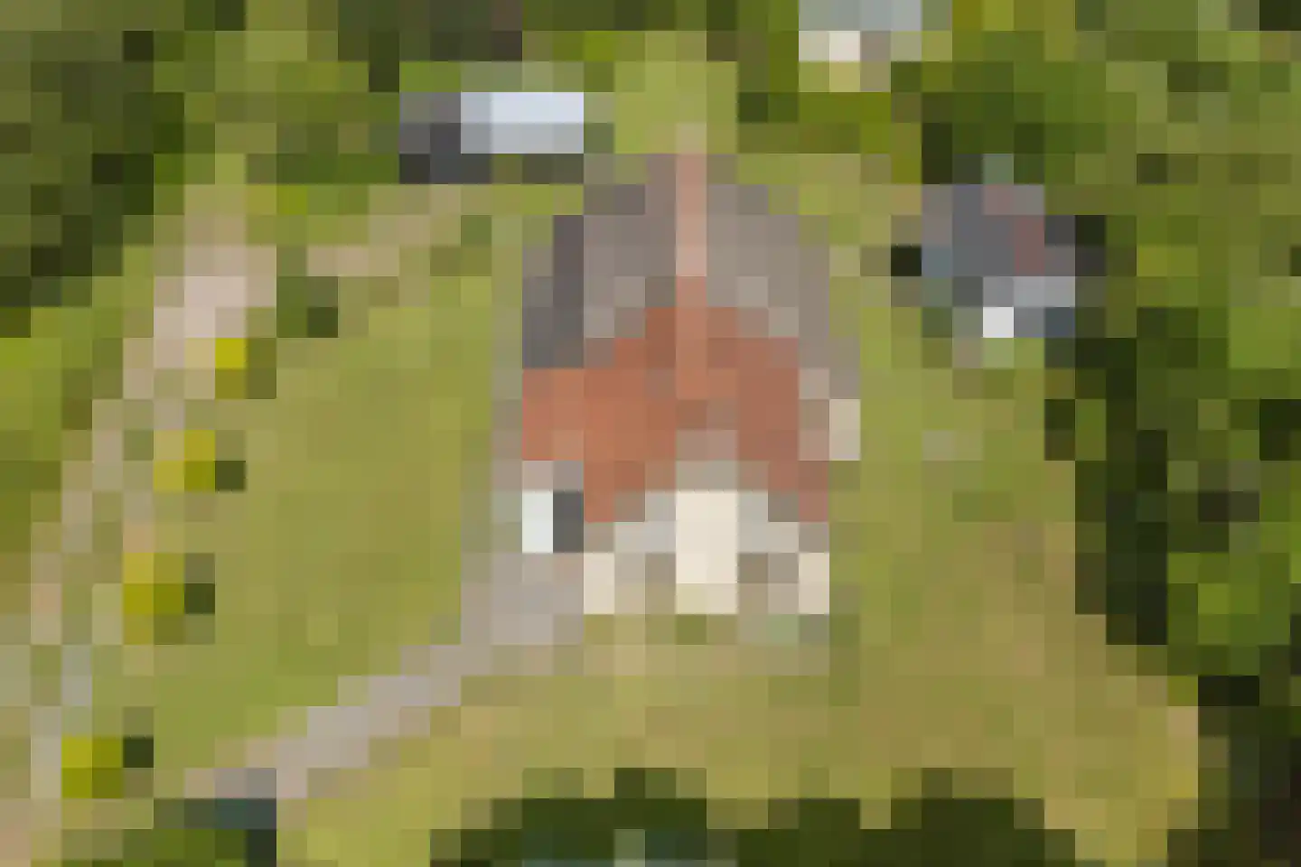 West 20 Buitenpost thumbnail 9