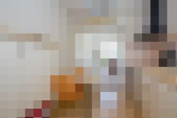 West 38 Avenhorn thumbnail 19