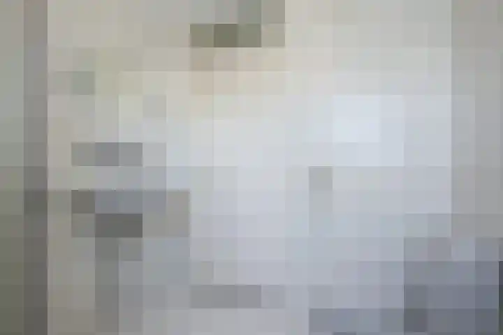 West 38 Avenhorn thumbnail 26