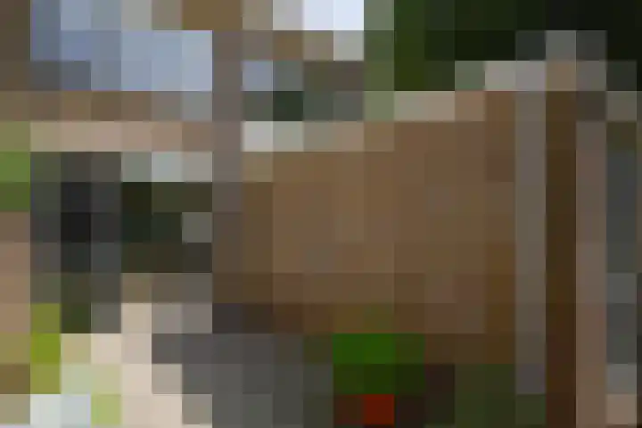 West 38 Avenhorn thumbnail 41