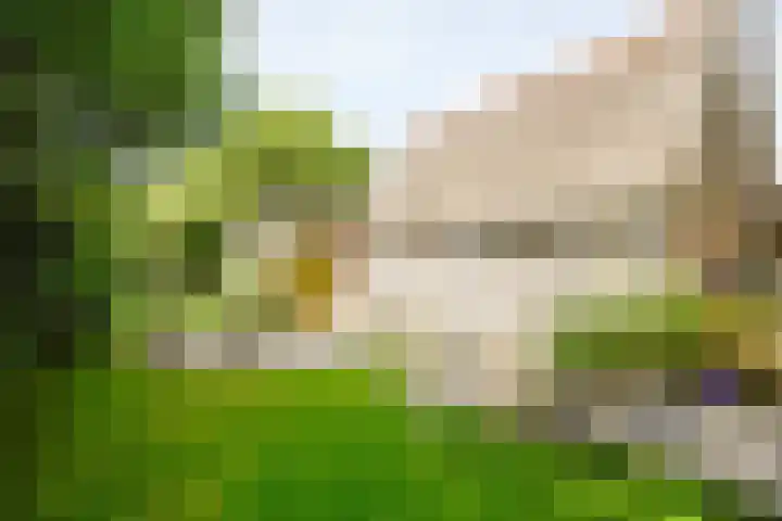 West 38 Avenhorn thumbnail 43