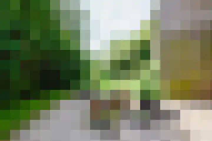 West 38 Avenhorn thumbnail 44