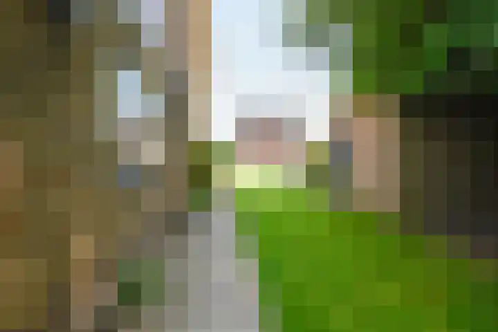 West 38 Avenhorn thumbnail 46