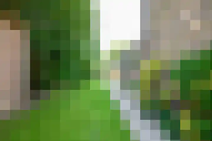West 38 Avenhorn thumbnail 47