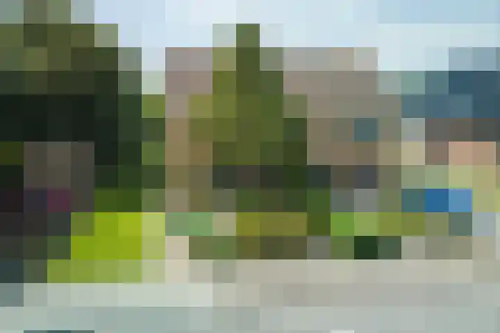 West 38 Avenhorn thumbnail 5