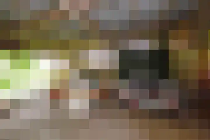West 38 Avenhorn thumbnail 50