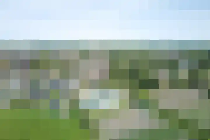 West 38 Avenhorn thumbnail 53