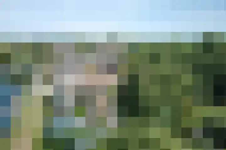 West 38 Avenhorn thumbnail 54