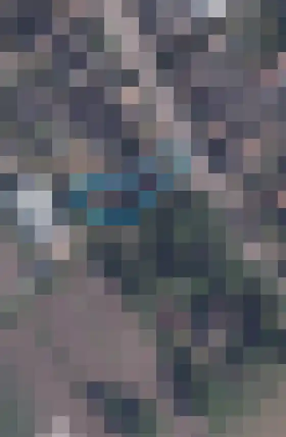 West 38 Avenhorn thumbnail 58