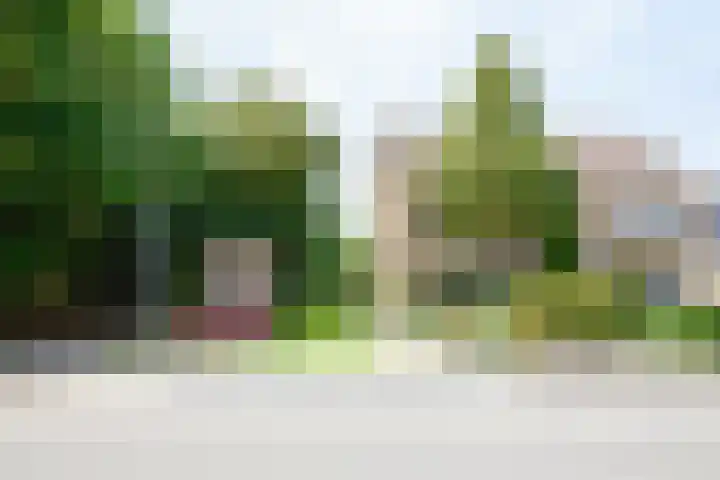 West 38 Avenhorn thumbnail 6