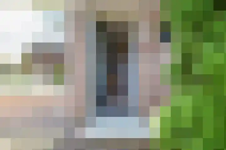West 38 Avenhorn thumbnail 8
