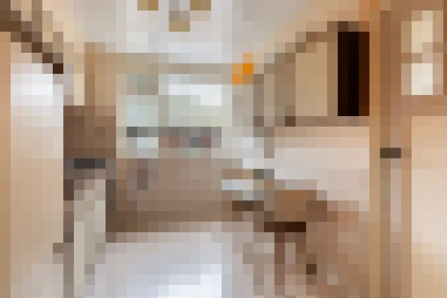 West 4 Buitenpost thumbnail 15