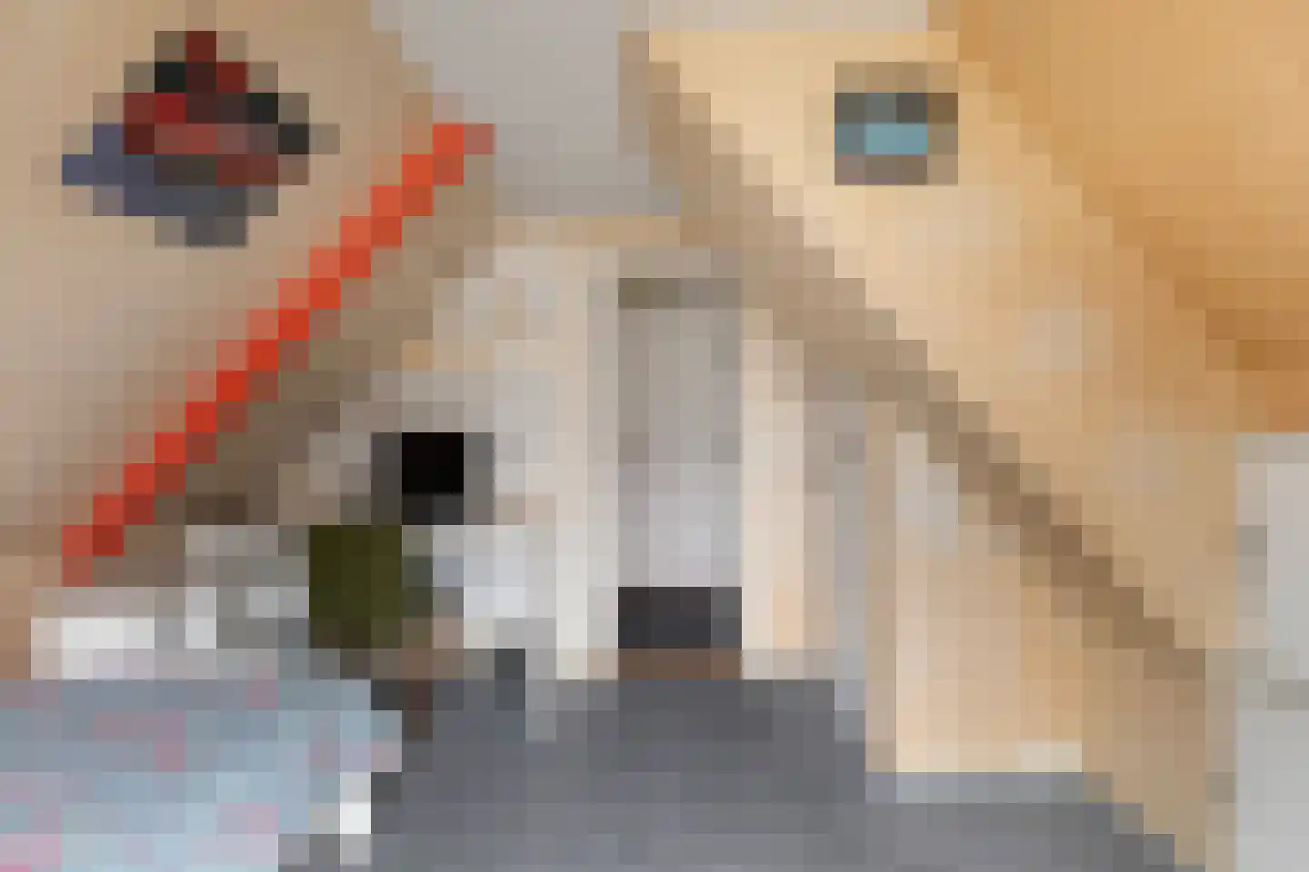West 4 Buitenpost thumbnail 26