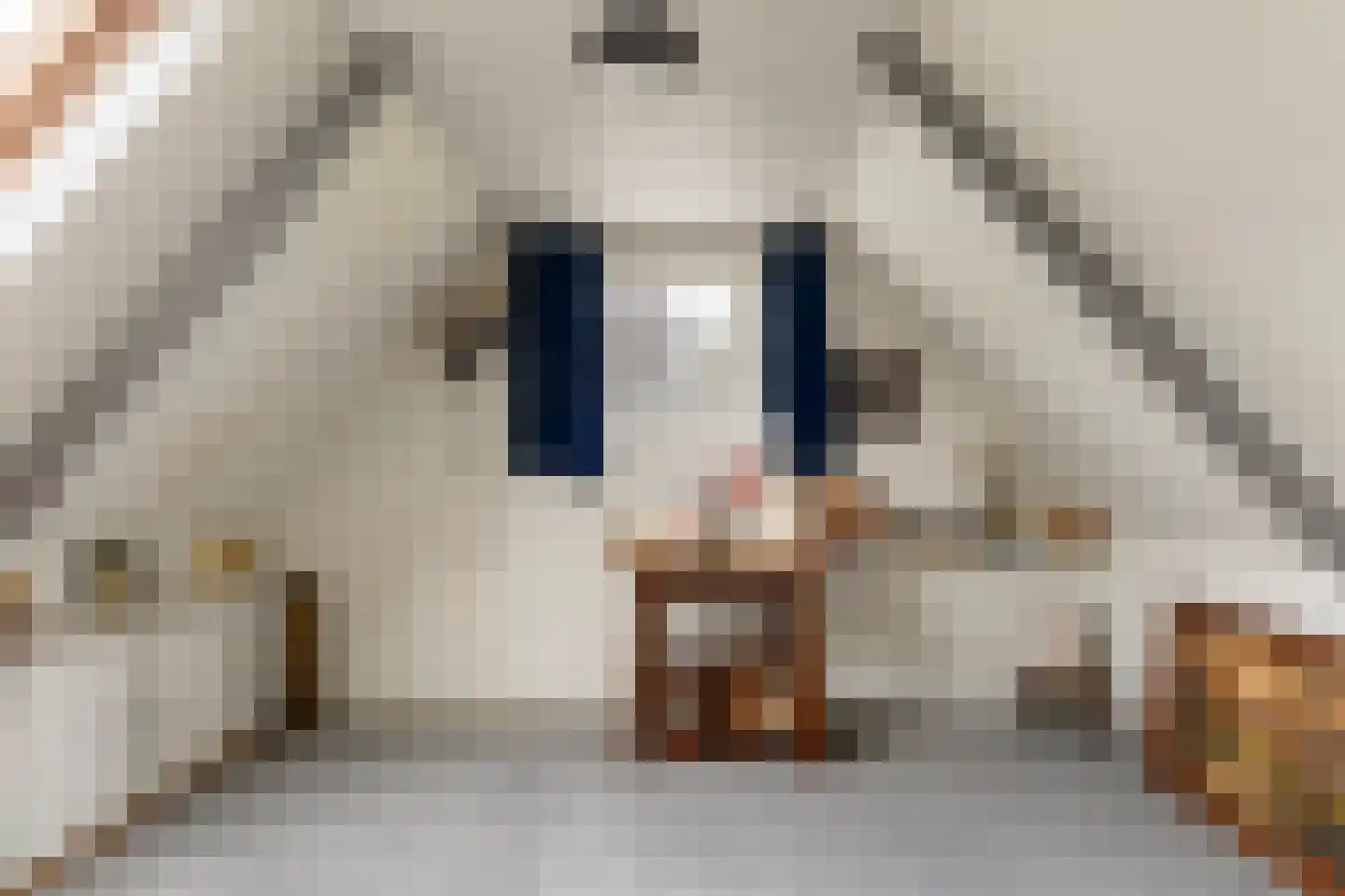 West 4 Buitenpost thumbnail 29