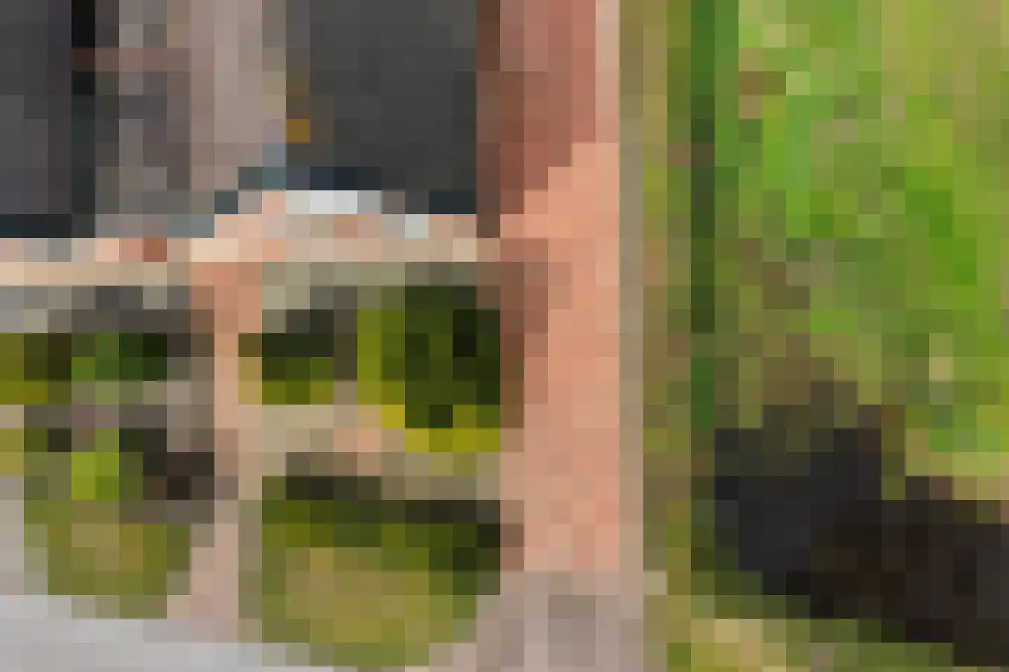 West 4 Buitenpost thumbnail 33
