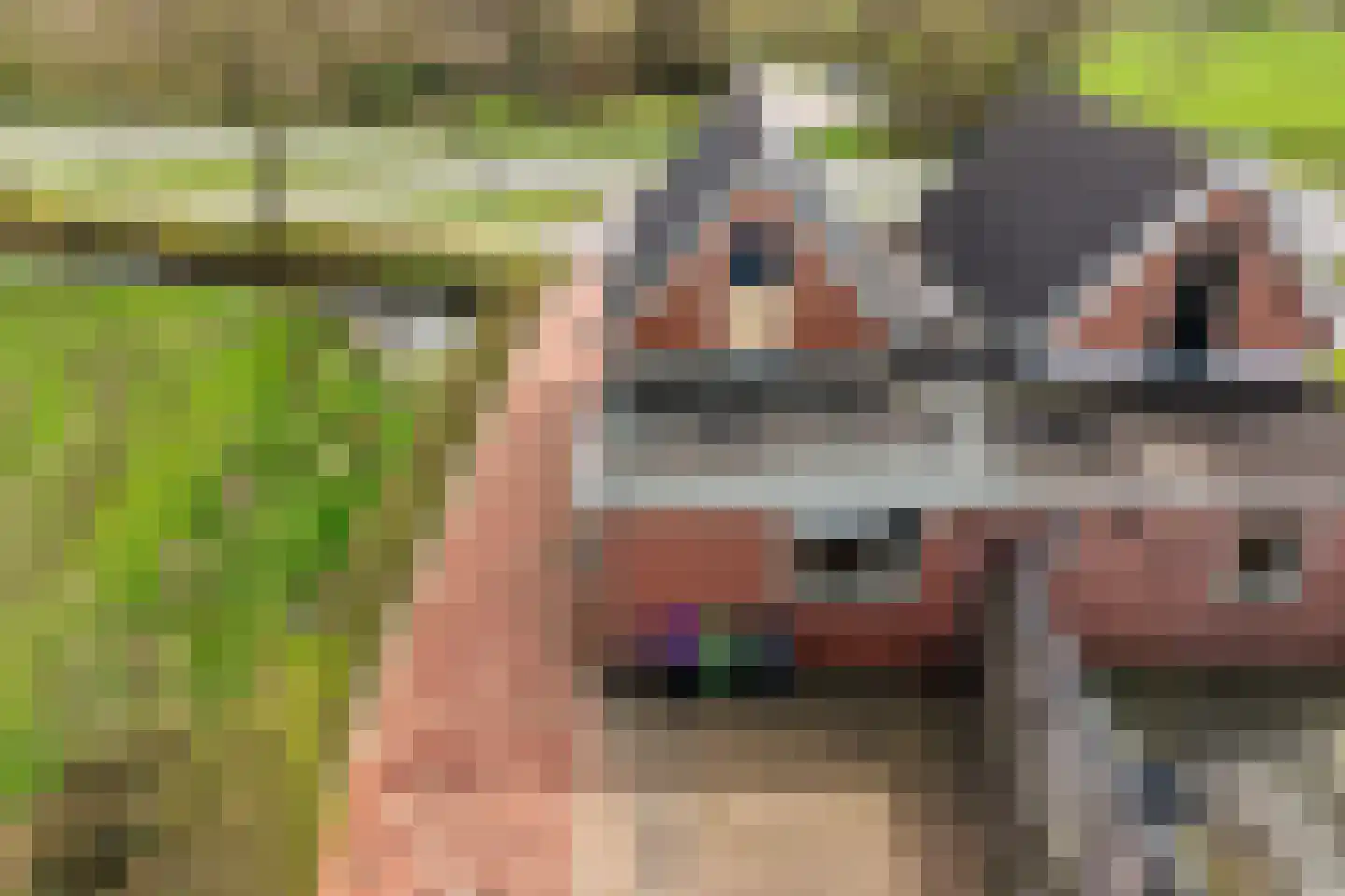 West 4 Buitenpost thumbnail 35