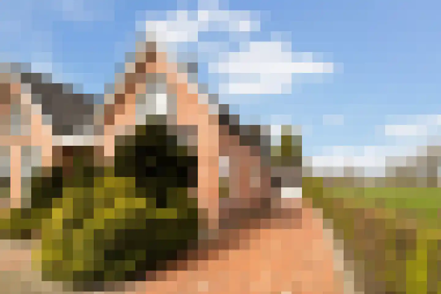 West 4 Buitenpost thumbnail 38
