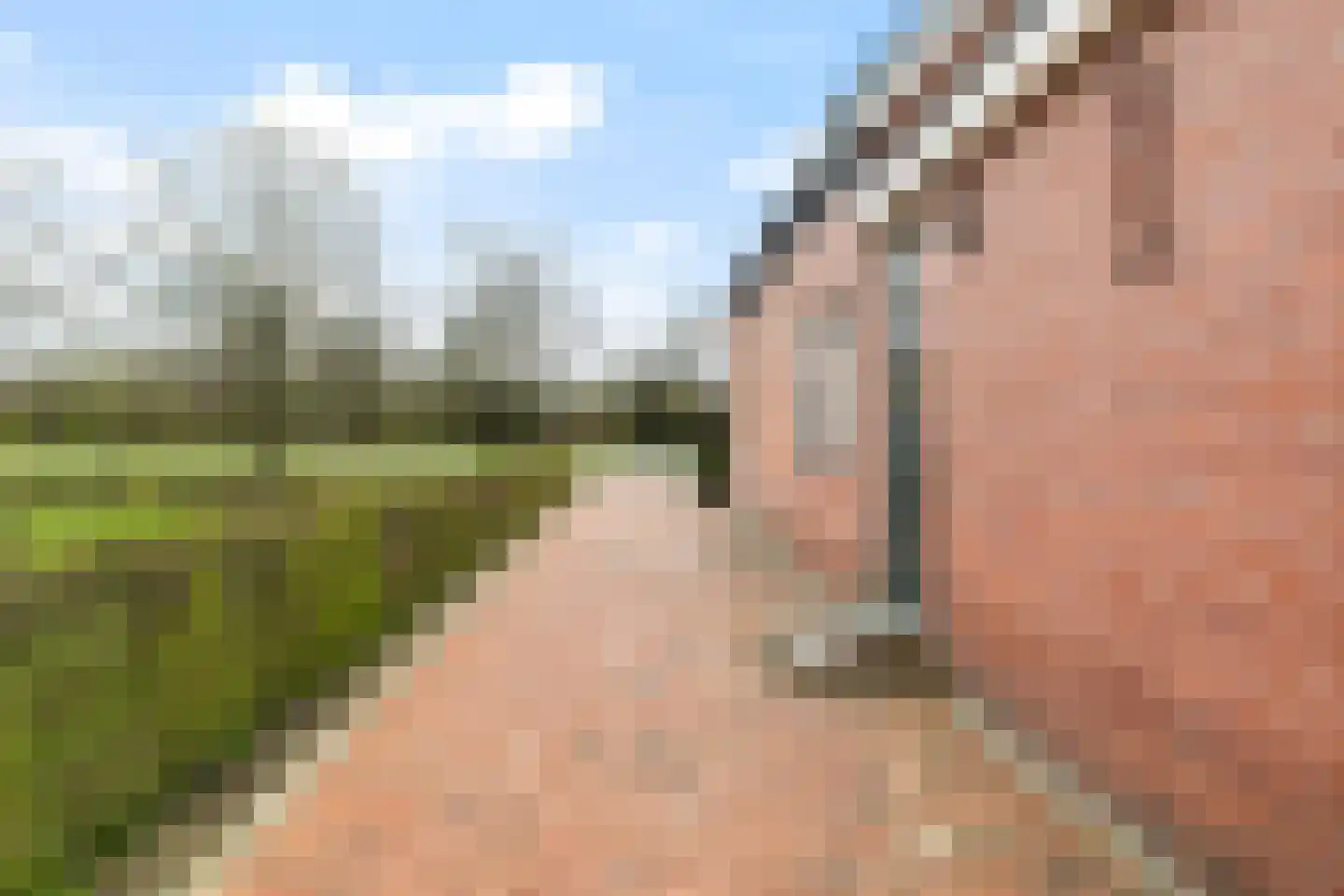 West 4 Buitenpost thumbnail 44