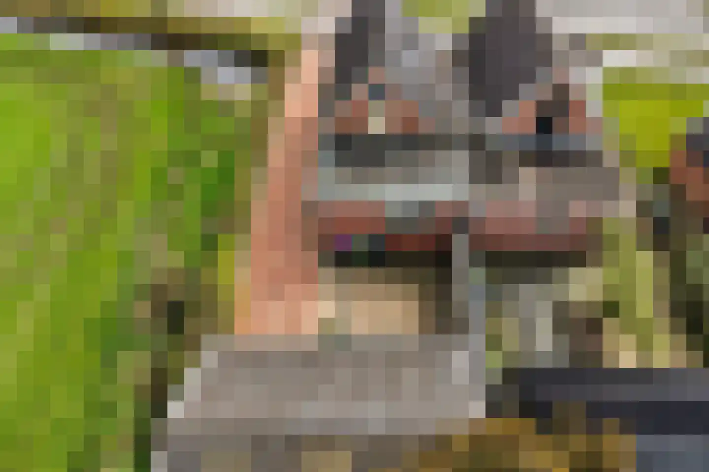 West 4 Buitenpost thumbnail 48