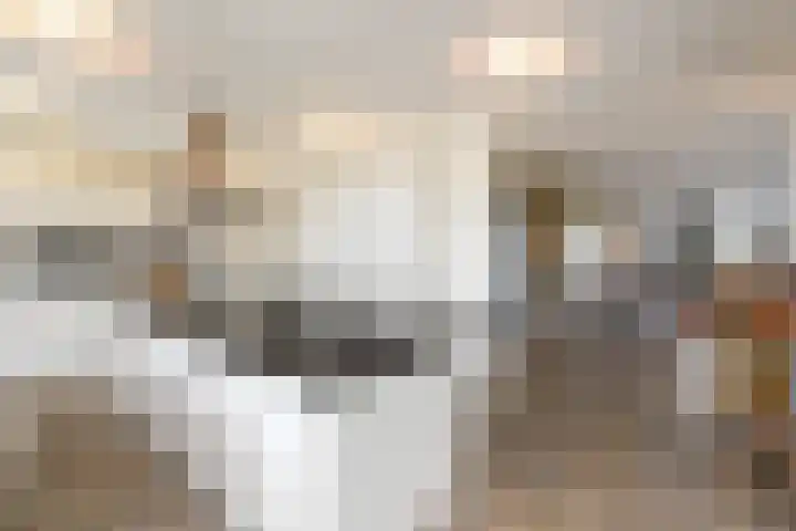 West 60 Buitenpost thumbnail 12