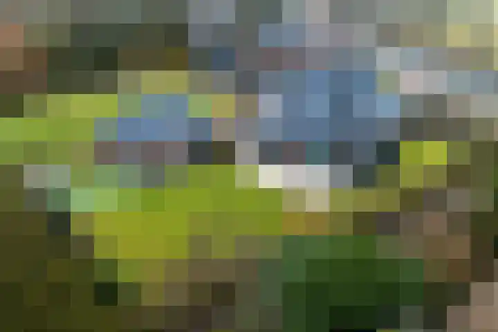 West 60 Buitenpost thumbnail 43