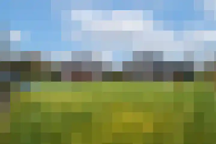 West 60 Buitenpost thumbnail 50