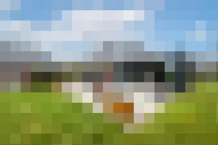 West 60 Buitenpost thumbnail 52