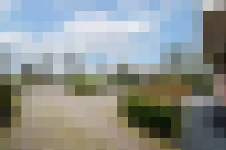 West 60 Buitenpost thumbnail 58