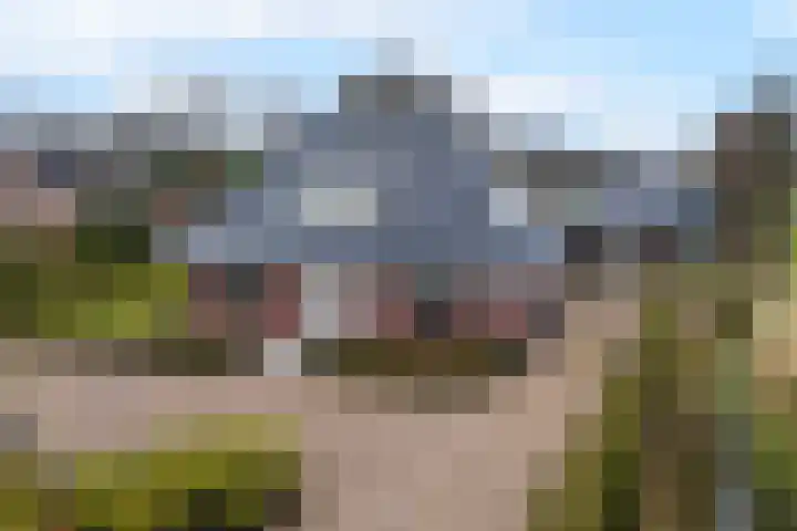 West 60 Buitenpost thumbnail 64