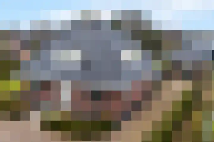West 60 Buitenpost thumbnail 65